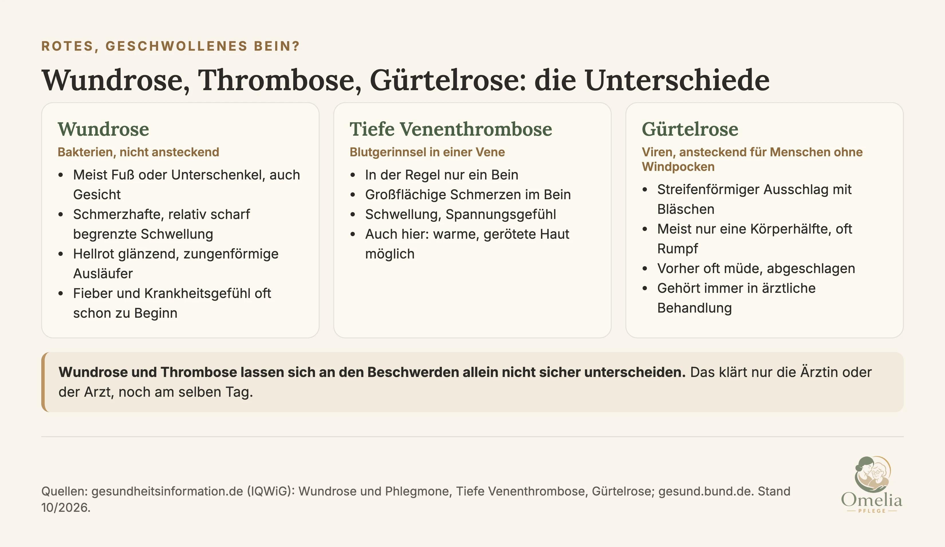 Rotes, geschwollenes Bein? Wundrose, Thrombose, Gürtelrose: die Unterschiede. Wundrose: Bakterien, nicht ansteckend. Meist Fuß oder Unterschenkel, auch Gesicht. Schmerzhafte, relativ scharf begrenzte Schwellung. Hellrot glänzend, zungenförmige Ausläufer. Fieber und Krankheitsgefühl oft schon zu Beginn. Tiefe Venenthrombose: Blutgerinnsel in einer Vene. In der Regel nur ein Bein. Großflächige Schmerzen im Bein. Schwellung, Spannungsgefühl. Auch hier warme, gerötete Haut möglich. Gürtelrose: Viren, ansteckend für Menschen ohne Windpocken. Streifenförmiger Ausschlag mit Bläschen. Meist nur eine Körperhälfte, oft Rumpf. Vorher oft müde, abgeschlagen. Gehört immer in ärztliche Behandlung. Wundrose und Thrombose lassen sich an den Beschwerden allein nicht sicher unterscheiden. Das klärt nur die Ärztin oder der Arzt, noch am selben Tag. Quellen: gesundheitsinformation.de (IQWiG), gesund.bund.de.